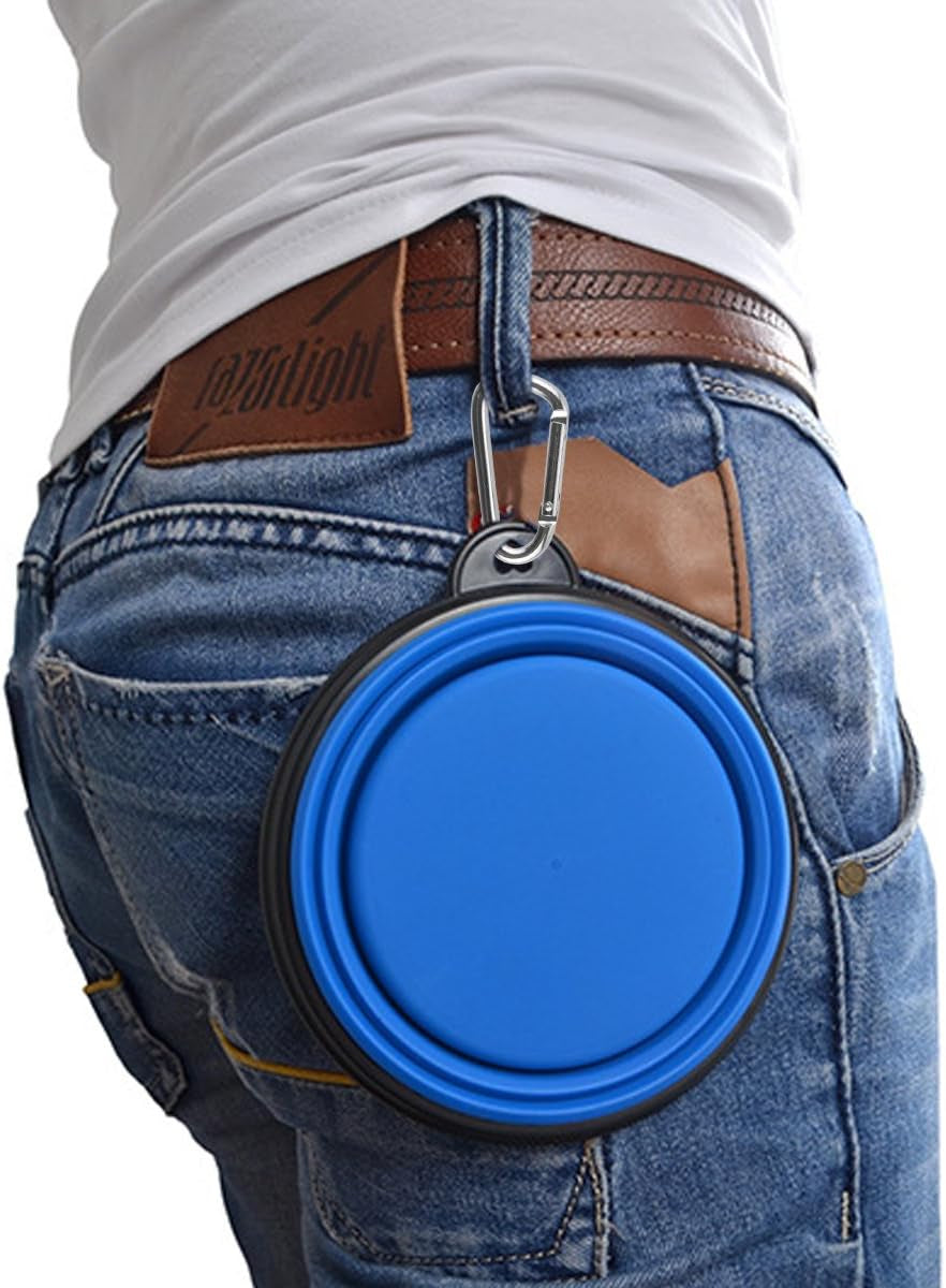 Large Collapsible Dog Bowls - 34oz Portable Travel Water and Food Dishes with Carabiner Clip, Set of 2 (Green and Blue)