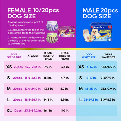 Honeycare Disposable Dog Diapers for Male and Female - Puppy Training Wraps with Stretchy Fabric, 360-Degree Leak-Proof Design, Super Absorbent and Breathable Material, Wetness Indicator, and Adjustable Suspenders for Effective Toilet Training