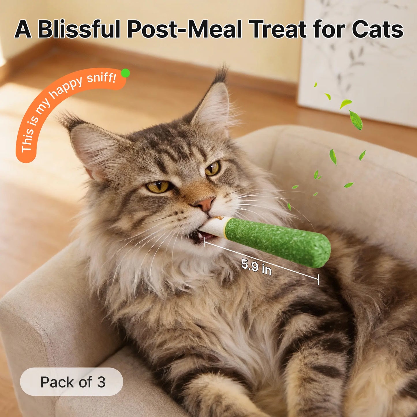 Potaroma Premium Natural Silvervine Cat Toys – Safe Interactive Chew Kicker for Indoor Cats and Kittens – Alleviates Boredom and Stress
