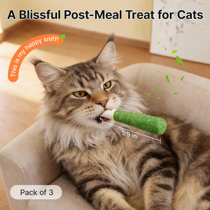 Potaroma Premium Natural Silvervine Cat Toys – Safe Interactive Chew Kicker for Indoor Cats and Kittens – Alleviates Boredom and Stress