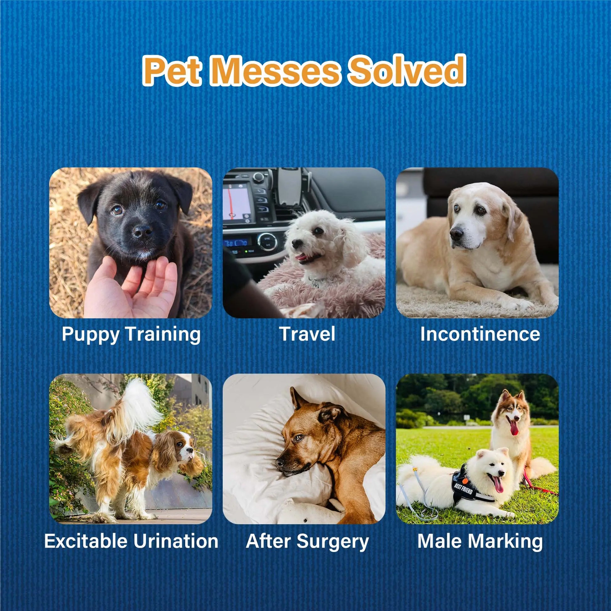 Honeycare Disposable Dog Diapers for Male and Female - Puppy Training Wraps with Stretchy Fabric, 360-Degree Leak-Proof Design, Super Absorbent and Breathable Material, Wetness Indicator, and Adjustable Suspenders for Effective Toilet Training