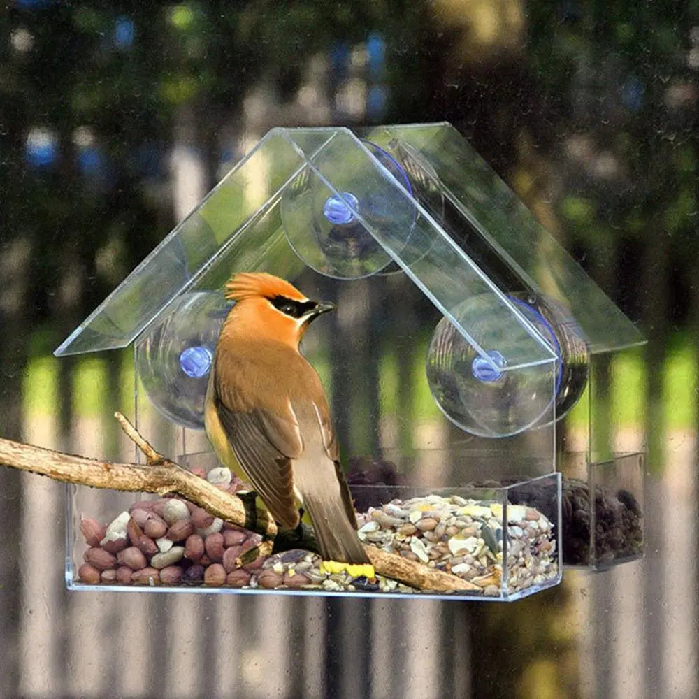 Transparent Window-Mounted Bird Feeder with Suction Cups - Outdoor Hanging Birdhouse for Front Porch Decor and Pet Supplies