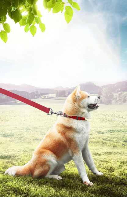 Long Dog Leash for Obedience and Recall Training - Available in 15FT, 20FT, 30FT, 40FT, and 50FT for Small to Medium Dogs - Ideal for Camping, Training, Play, or Backyard Use (15FT, Red)