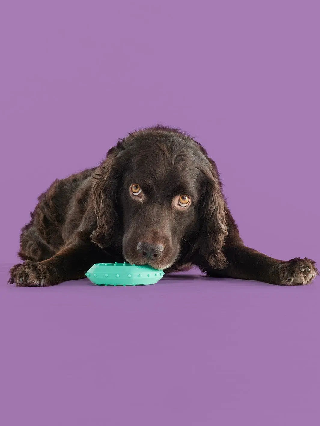 Yomp Chillchew Freezable Dog Toy - Ultimate Cooling Chew & Teething Toy for Soft to Medium Chewers - Safe, Non-Toxic Silicone Design