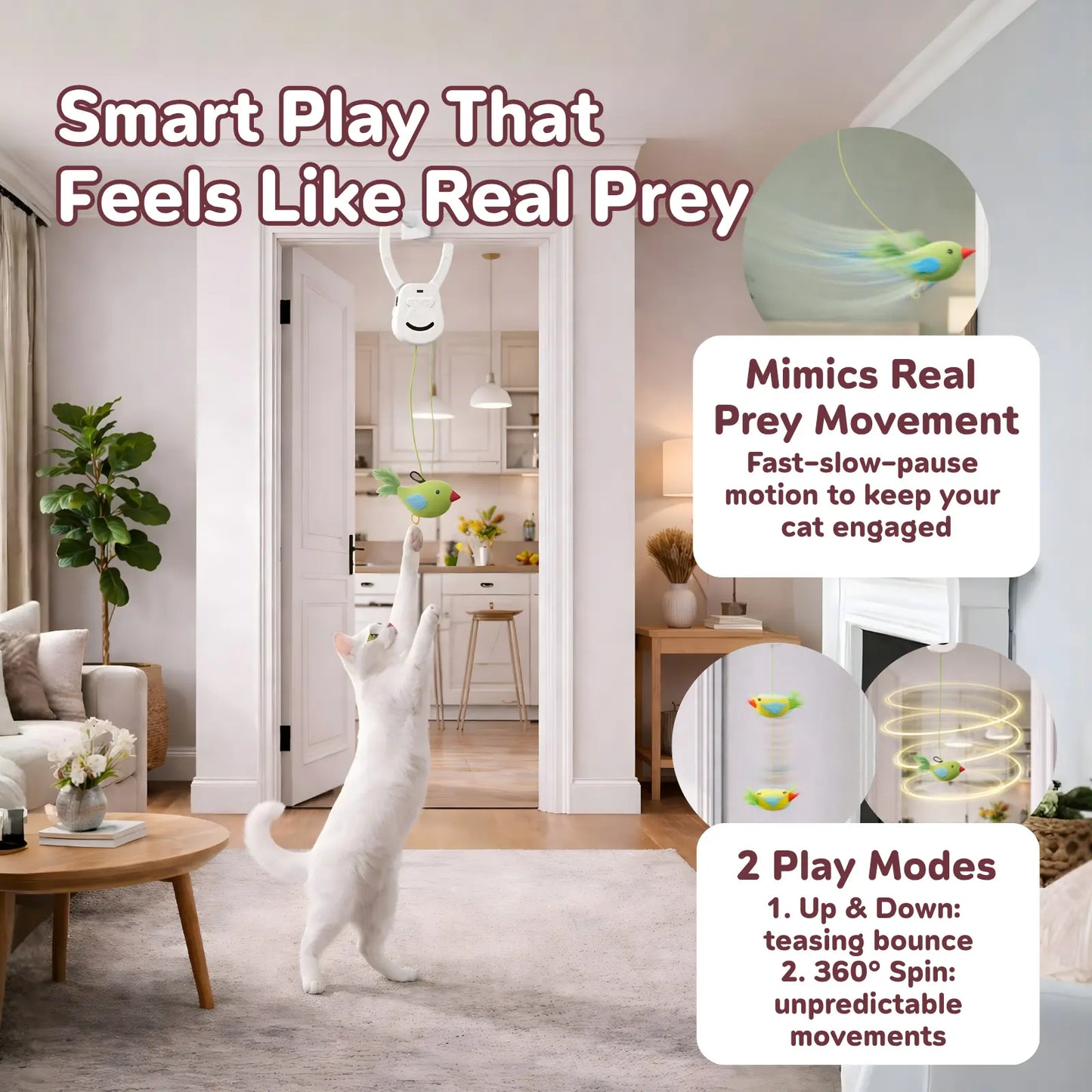 AIXINPET Rechargeable Interactive Cat Teaser - Door-Mounted Fun with Adjustable String & Custom Accessories for Endless Play!