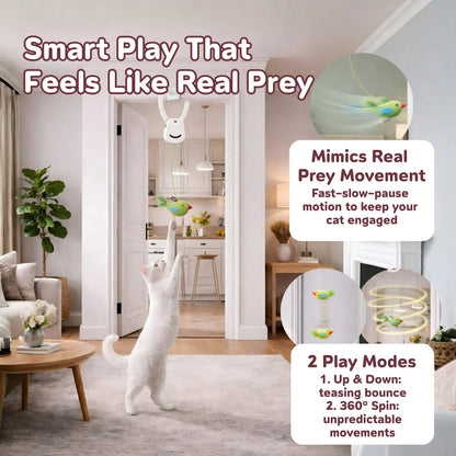 AIXINPET Rechargeable Interactive Cat Teaser - Door-Mounted Fun with Adjustable String & Custom Accessories for Endless Play!