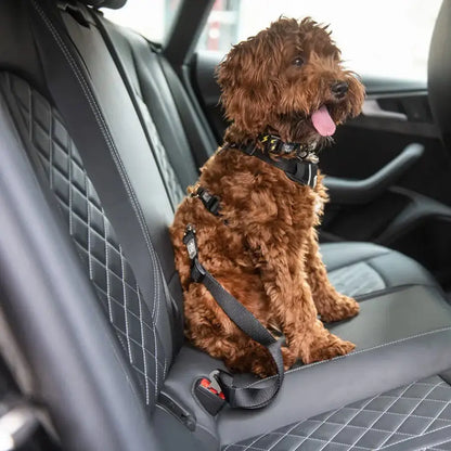 Universal Black Pet Seat Belt Tether for Standard Cars - Keep Your Furry Friend Safe!