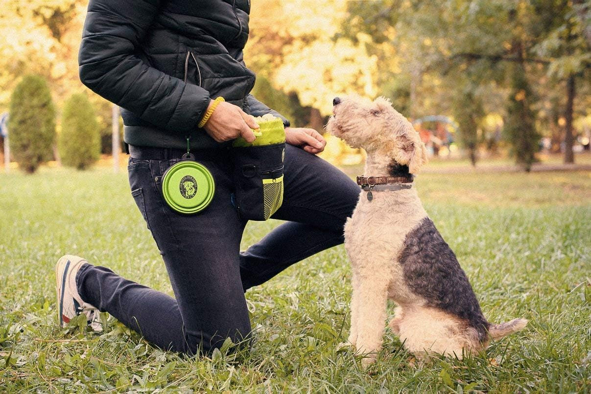Dog Training and Walking Treat Pouch with Poop Bag Dispenser, Pro Clicker, Collapsible Travel Bowl, and Reflective Shoulder Strap - Black/Green