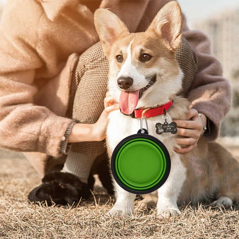 Large Collapsible Dog Bowls - 34oz Portable Travel Water and Food Dishes with Carabiner Clip, Set of 2 (Green and Blue)