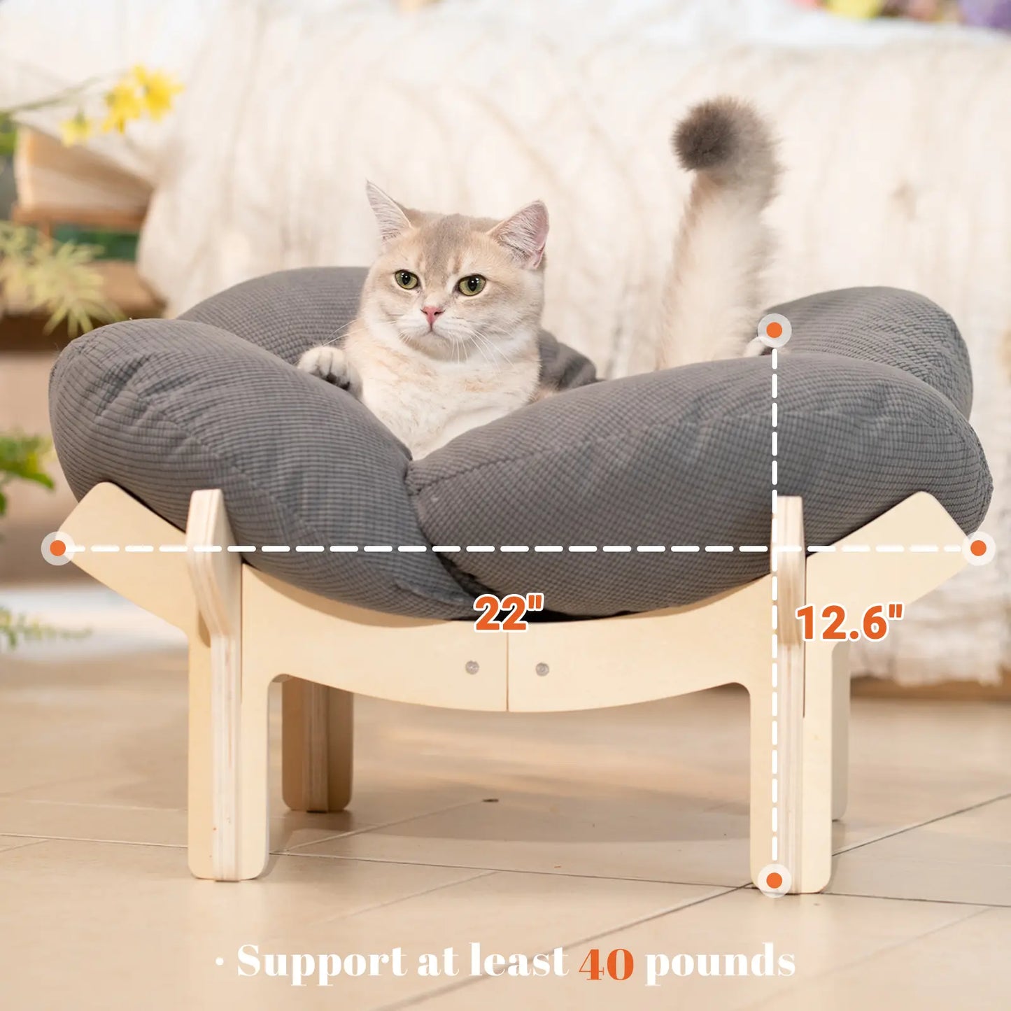 Elevated Wooden Cat Bed with Cushion - Fluffy Pet Sofa for Indoor Cats and Dogs, Raised Lounge Chair, Large Size Cat Furniture