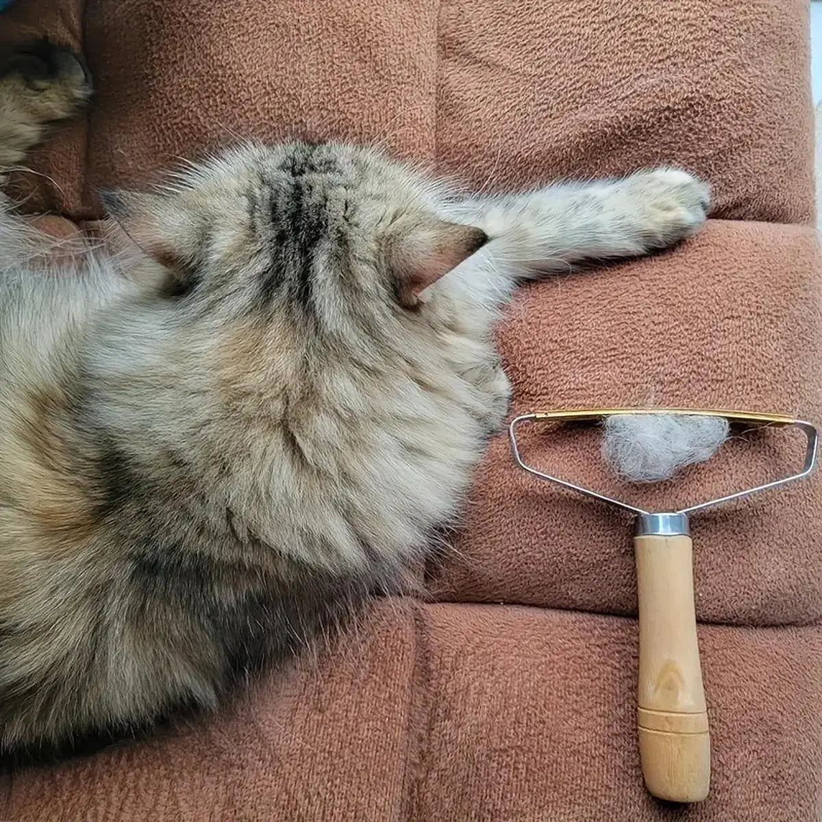 Pet Hair Removal Brush - Double-Sided Cleaning Tool for Clothes, Furniture, Carpets, Blankets, and Rugs - Ideal Household Scraper and Valentine's Day Gift
