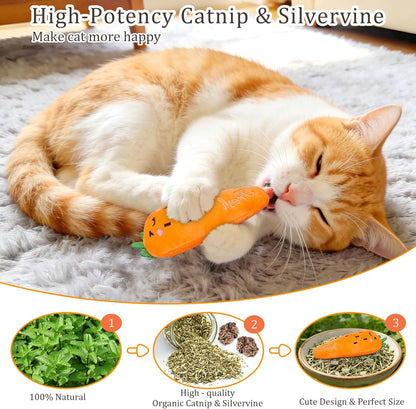 Plush Catnip Toys for Indoor Cats - 5 Pack Interactive Kitty Kicker Chew Toys in Fun Carrot Shape for Dental Care and Playtime