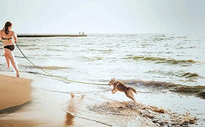 Long Dog Leash for Obedience and Recall Training - Available in 15FT, 20FT, 30FT, 40FT, and 50FT for Small to Medium Dogs - Ideal for Camping, Training, Play, or Backyard Use (15FT, Red)