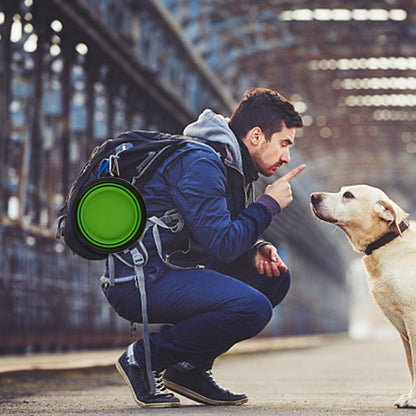 Large Collapsible Dog Bowls - 34oz Portable Travel Water and Food Dishes with Carabiner Clip, Set of 2 (Green and Blue)