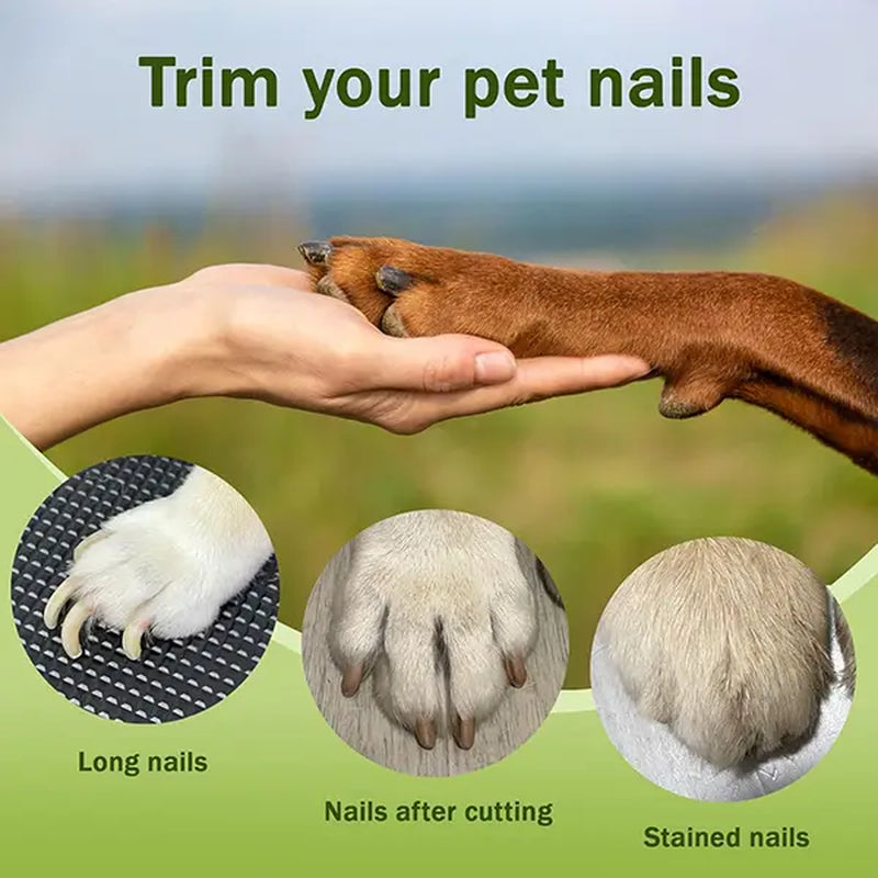 Petlovers 2-In-1 Rechargeable Nail Clipper and Grinder for Dogs and Cats - Ultra Quiet Electric Trimmer for All Sizes